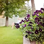 Kurgo Villa Hotel Отель Пярну