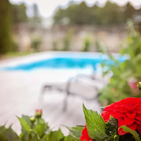 Отель Kurgo Villa Hotel Пярну