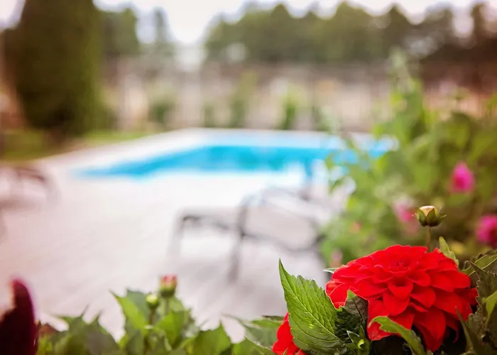 Hotel Kurgo Villa Hotel Parnu